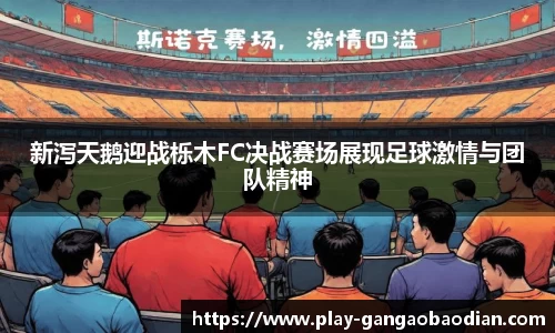 新泻天鹅迎战栎木FC决战赛场展现足球激情与团队精神